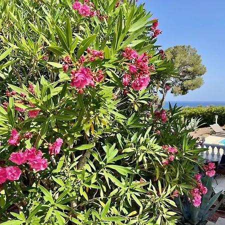 Holiday home Rose Comfortable *