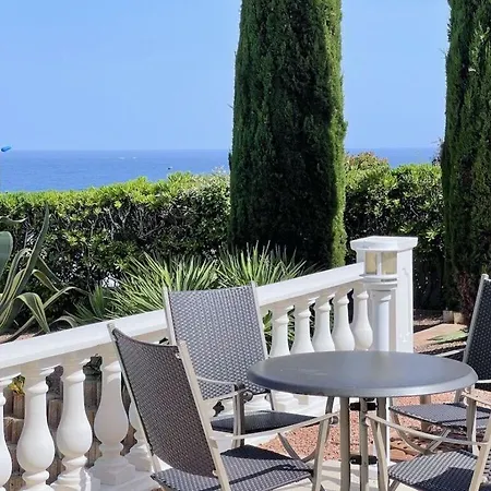 Rose Comfortable Saint-Raphael (Var)